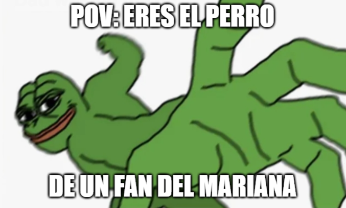 puercoalopecico tweet media
