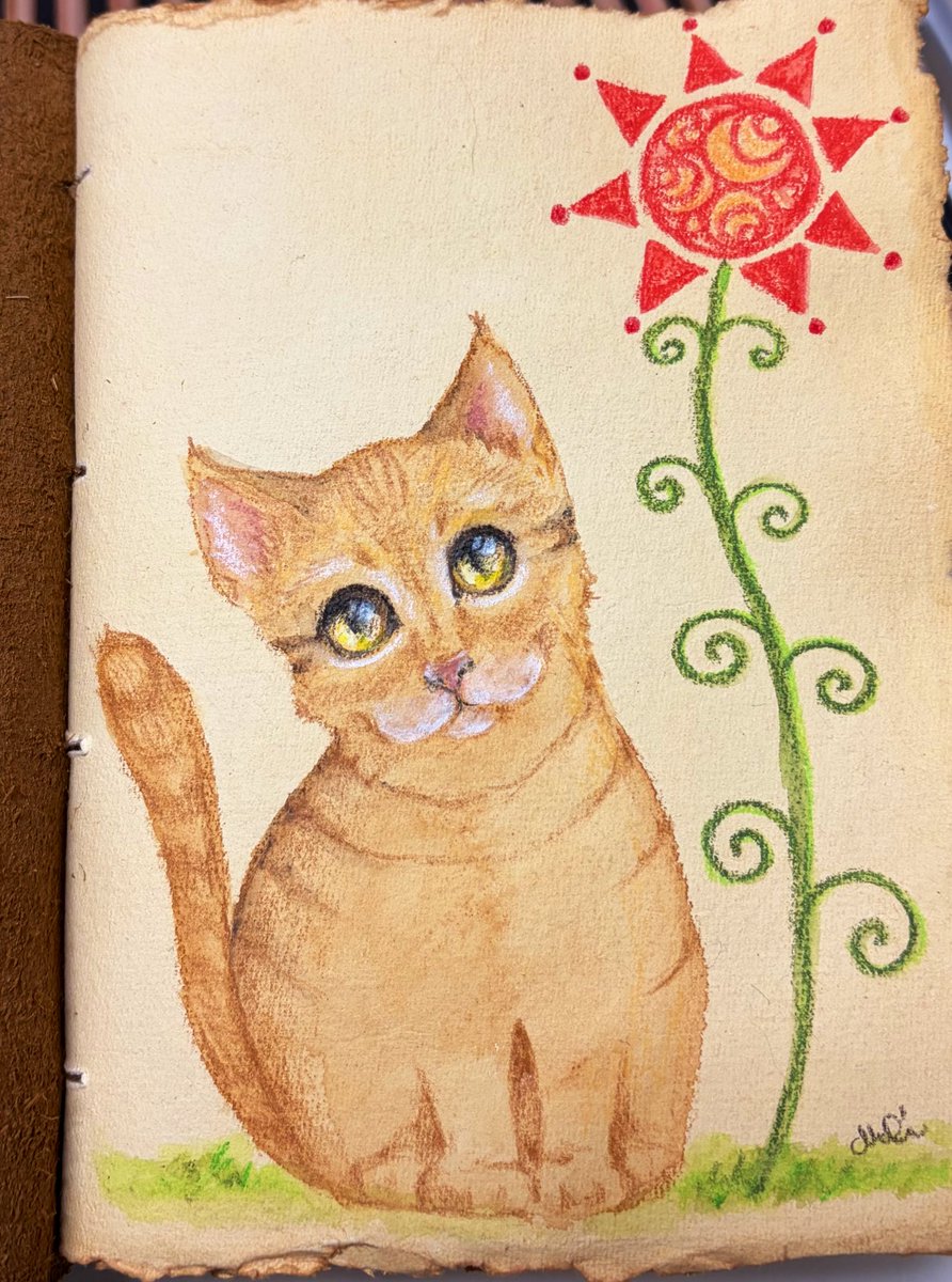 ⭐︎にゃこ⭐︎ にゃこ🐈 (@nekoneko_nyako) / Posts / X