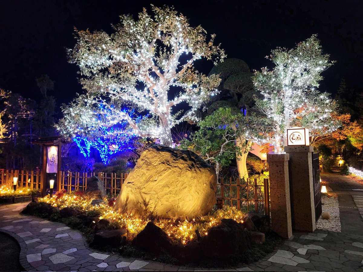 space72040357's tweet photo. 佐原のオーベルジュで晩飯
整えられた庭園とライトアップが凄く綺麗
枯山水の石庭は砂紋の広がりを崩さないように手入れがされていて、こだわりが素晴らしかった
料理はどれも美味しかったが、デザートのモンブランはベリーソースと組み合わせる発想が独創的で、また相性も良く、いい発見になった https://t.co/QFSTkheVqK