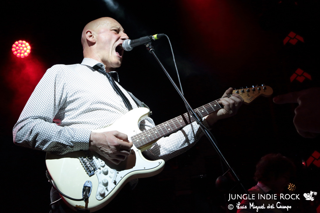 Raw Critters (Jungle Indie Rock) tweet media