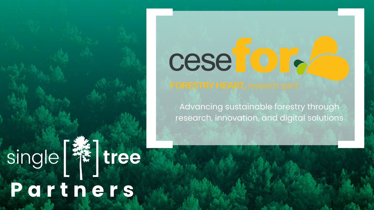 SingleTree_EU tweet media