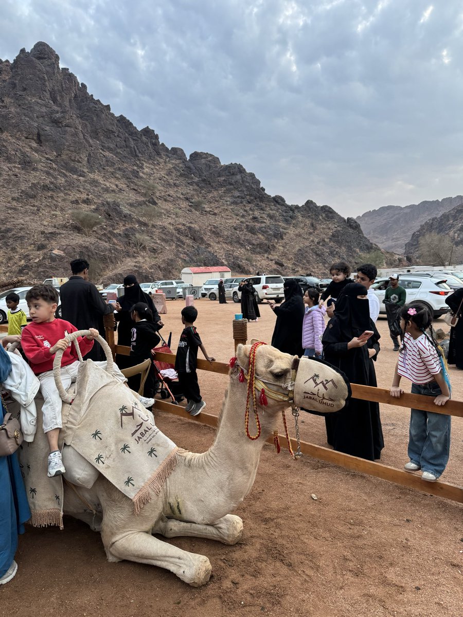 أُحدٌ جبلٌ يُحِبُّنَا ونُحِبُّهُ🤎🤎🧗🏔️