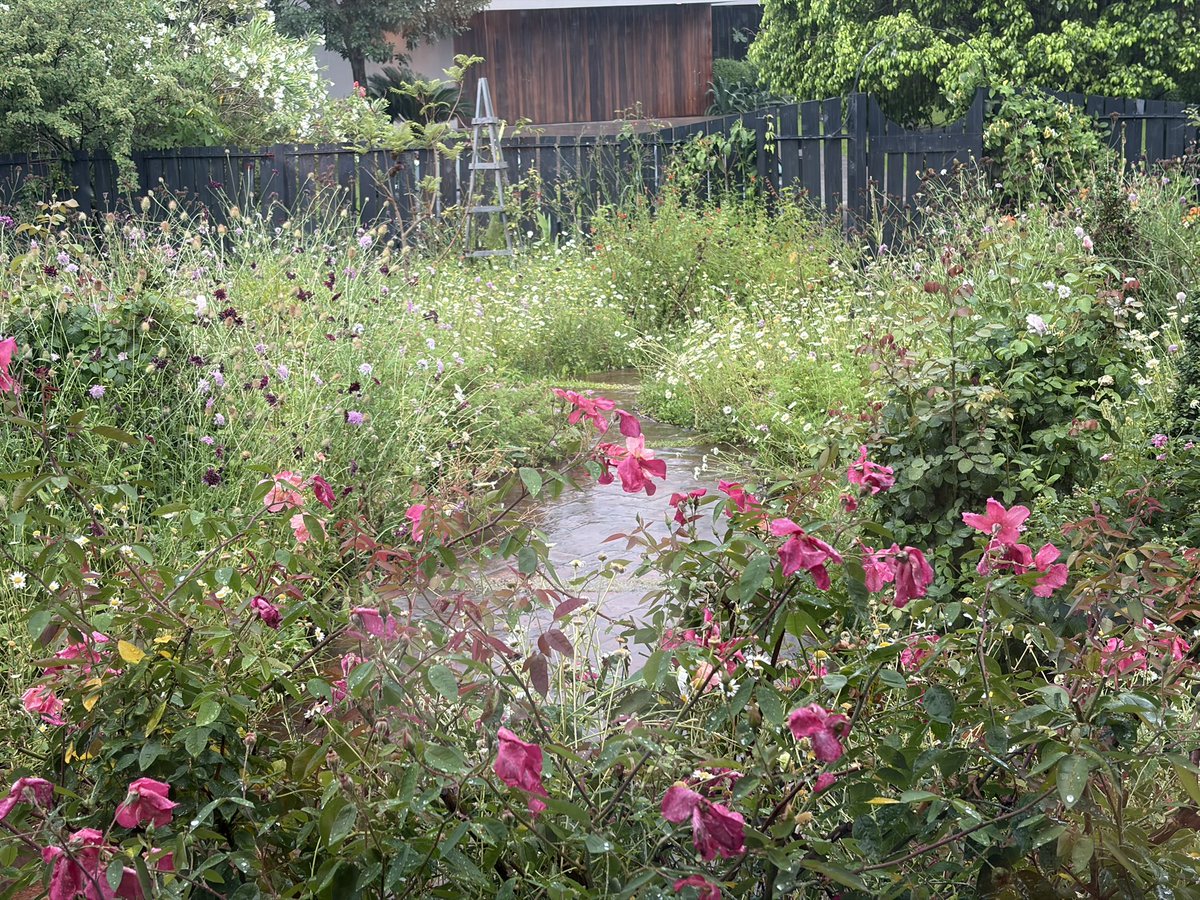 Tengo mil kilombos pero tb tengo este jardín hoy