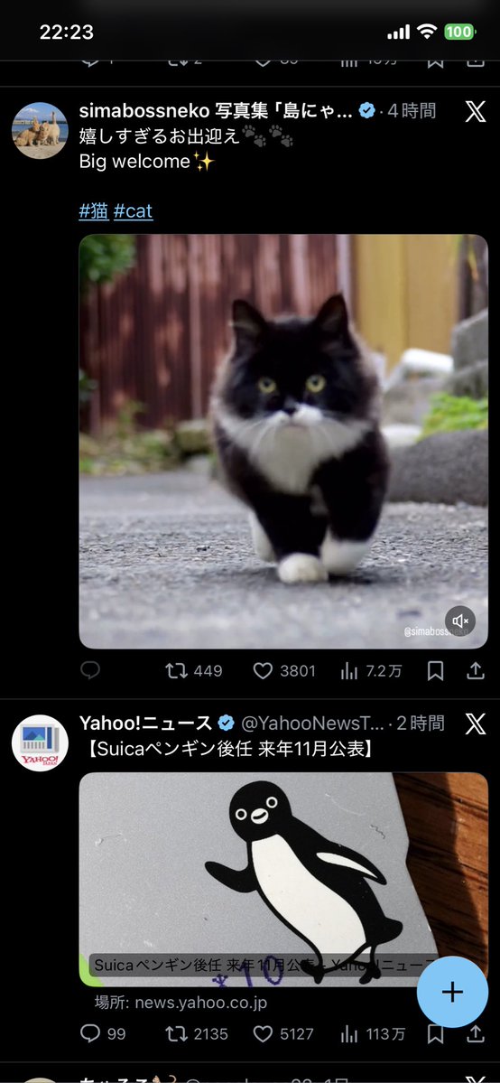 ポコ太郎様　画像確認用 ポコ太郎様　画像確認用