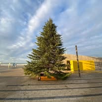 EHBO-HvH (@ehbohvh) on Twitter photo 