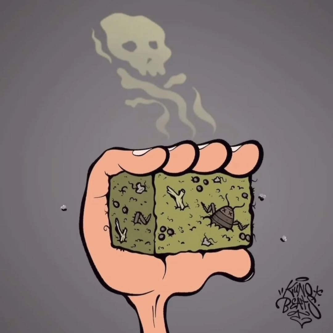 SPACECANNABIS's tweet photo. O prensado da minha quebrada https://t.co/QKBDYxdpFP