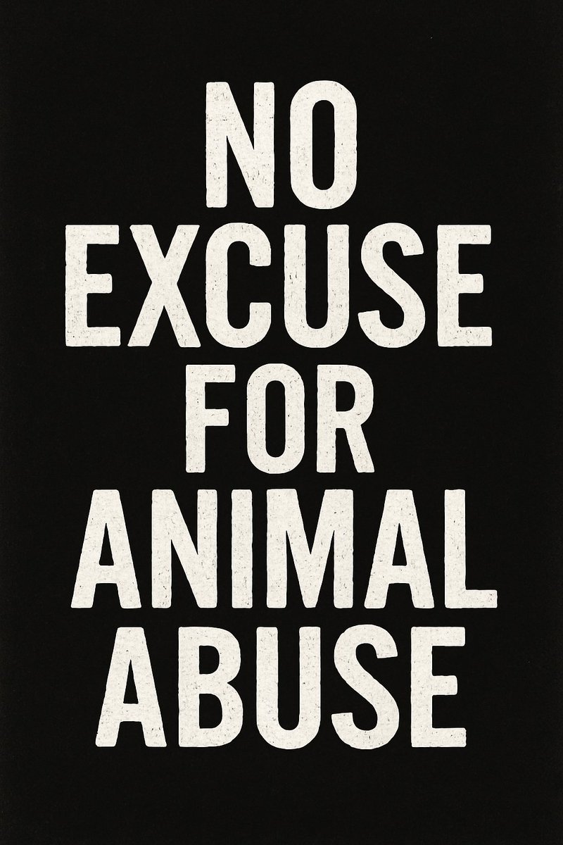jandelacross's tweet photo. PUT*NG INA! Magyayabang ako and Iet me make a threat. May pera ako. May oras ako. Galit ako. Kayo na muna sa other needs ng animal rights groups. Doon muna ako sa pagdemanda sa mga hinayupak na pumapatay ng mga aso, pusa, etc. Animals in the Philippines are Filipinos too! https://t.co/5u8Fwa906T