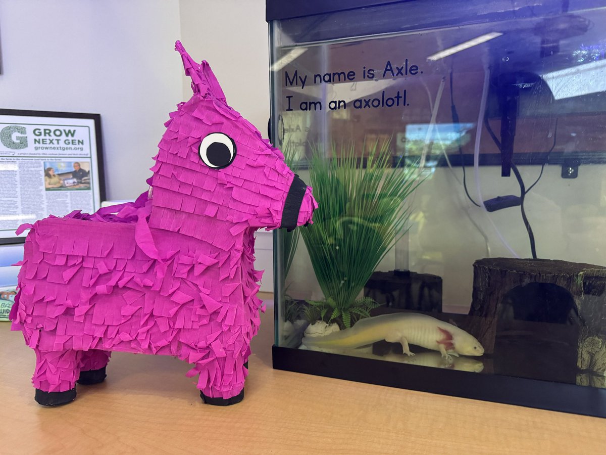 Jennifer Hancock tweet media