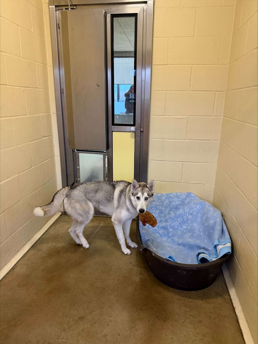 John Coventry tweet media