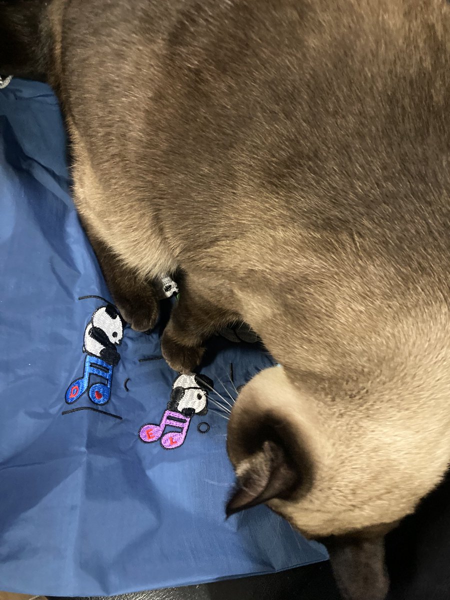 チーム熟女で町会忘年会メニューの打ち合わせ
可愛い🐼ちゃんのバッグもらったらウチのでかい熊猫が踏みつけたっ❗️