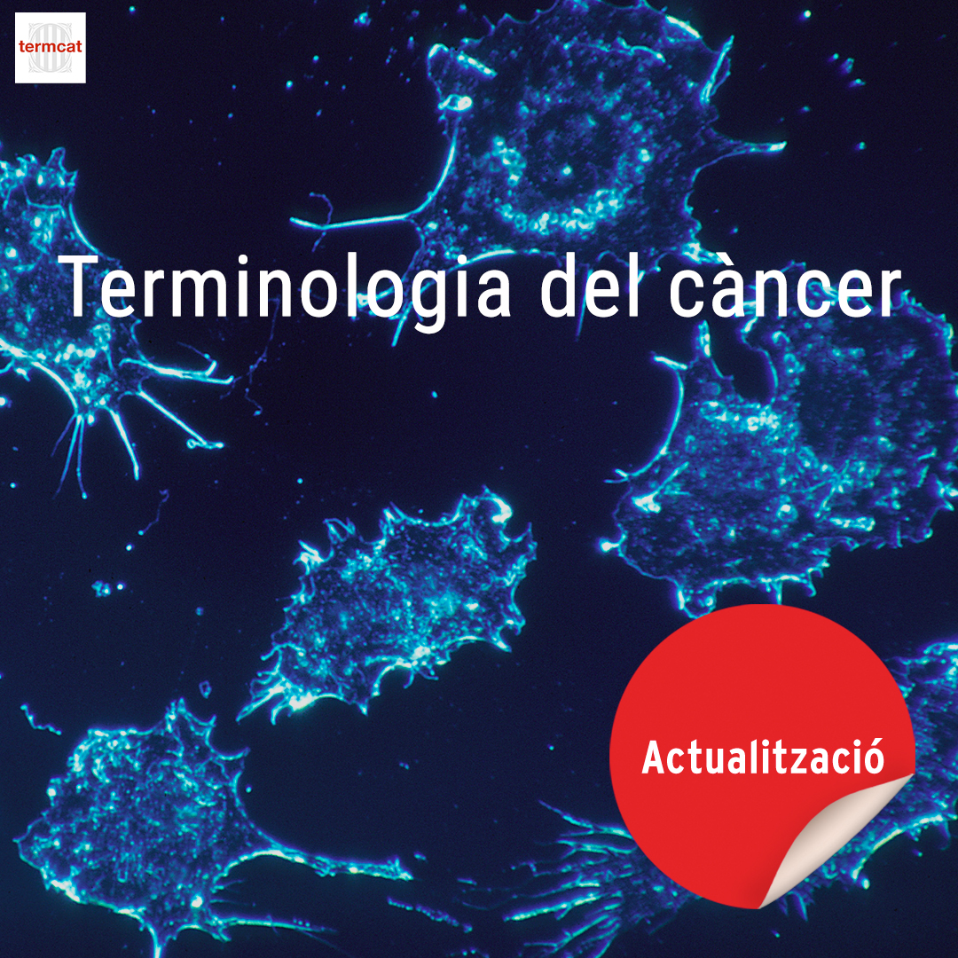 🔹 Actualitzem la 'Terminologia del càncer'

❗ Més de 270 termes bàsics relacionats amb el càncer i la recerca oncològica:

biomarcador predictiu
biòpsia líquida
cribratge
decisió compartida
experiència del pacient...

termcat.cat/ca/diccionaris…

<a href="/salutcat/">Salut</a>
<a href="/ICO_oncologia/">Institut Català d'Oncologia</a>
<a href="/la_marato/">La Marató de 3Cat</a>