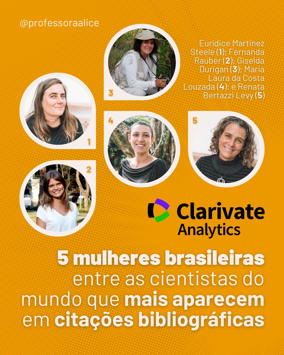 Alice Bianchini tweet media