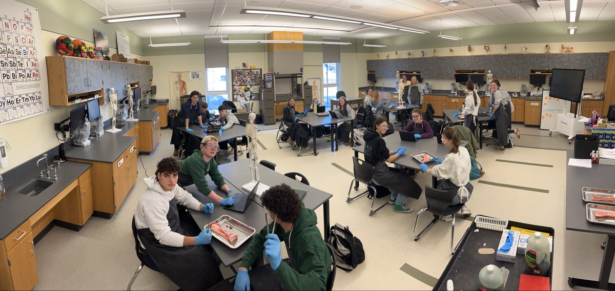 CPitts167's tweet photo. Analyzing anatomical structures of long bone through dissection of a cow bone. #AnatomyClass https://t.co/5ccNJapGwf
