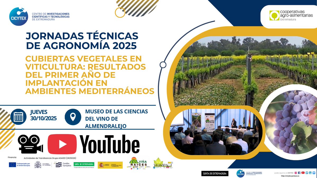 CICYTEX's tweet image. 🙋🏻‍♂️No te preocupes  si te perdiste la interesante
 🍇Jornada Cubiertas vegetales en  viticultura: resultados del primer año de implantación en ambientes  mediterráneos☘🌞
🎦Aquí tienes los vídeos de todas las ponencias youtube.com/playlist?list=…
con @irtacat @ITACYL @CoopAgroCLM etc