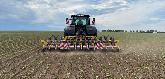 Feldklasse weeding technology innovations for 2026

Read more via #HortNews >> hortnews.com/articles/horti…