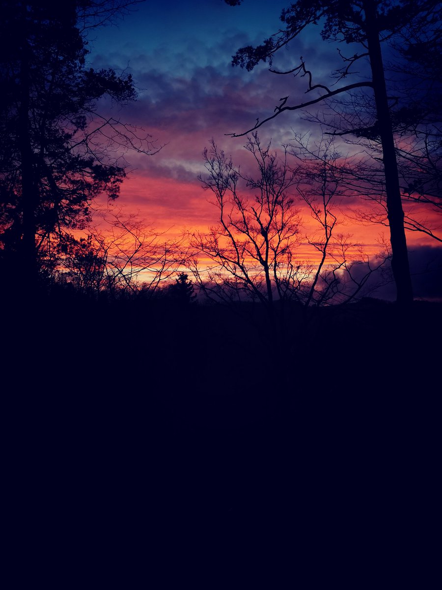 Kein Sonnenuntergang kommt je genau so zurück. Beim nächsten Mal werden wir vielleicht mit anderen Menschen dort stehen – oder allein. Und wir werden andere sein.
Gesundheit ist kein „Add-on“. 
Radonschutz gehört dazu.
#Radon #Gesundheit #Radonmessung #messgerät #Lungenkrebs