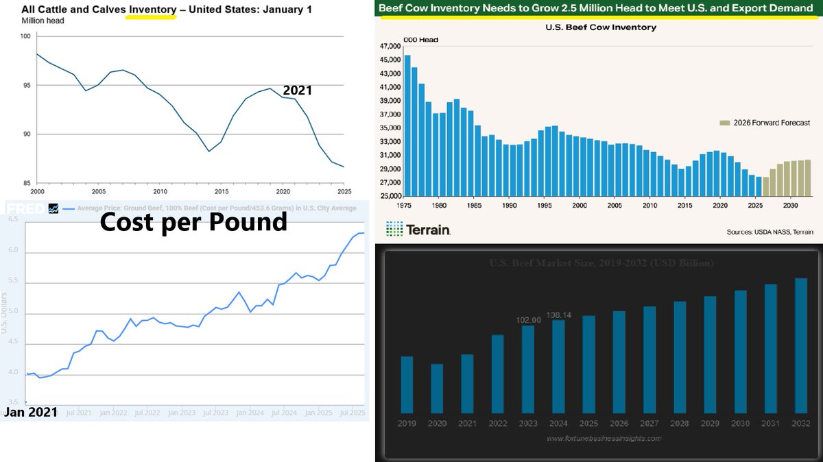 thetjadams8's tweet photo. I'd love to see it broken. I'm just afraid our Gov. has made the crisis too profitable to go away. Why raise 1000 cattle at $3/lb when you can cut it to 500 and get $6/lb. While still growing your revenue every year. Only having to do half the work..

& The long term trend is what scares me.. Slash supply, while demand is still high so you can charge double. & Watch your profits soar, while leaving the industry dangerously short. To claim crisis & get these "bailouts"

We already don't have enough supply but we're still exporting it. Because who cares about Americans when you can chase profits all over the world. The 2.5 Million head we're short is almost the exact number they slashed under the Biden Admin. But it looks like Trump is going to allow it to continue since the farmers backed him in the election. So, no, I don't see any kind of change, unfortunately.