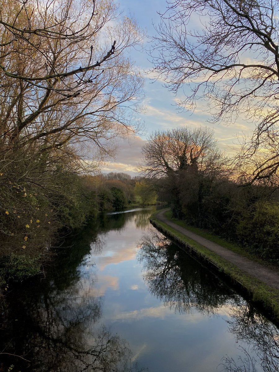 marialavande's tweet image. canal posting