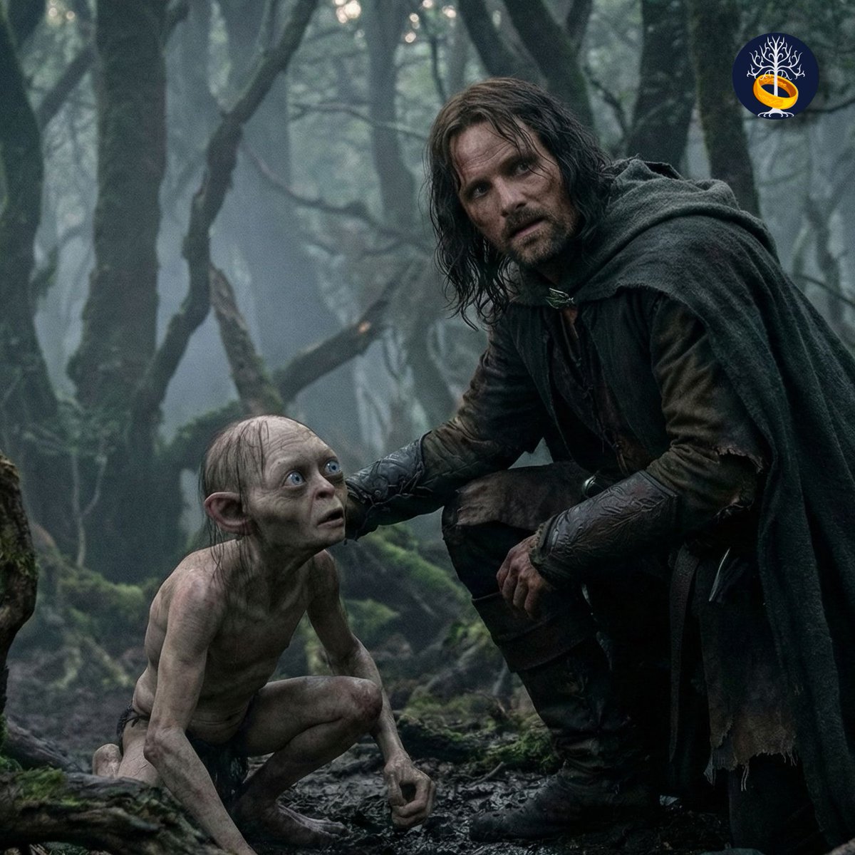 Orta Dünya tweet media