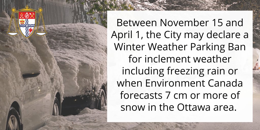 Ottawa By-law tweet media