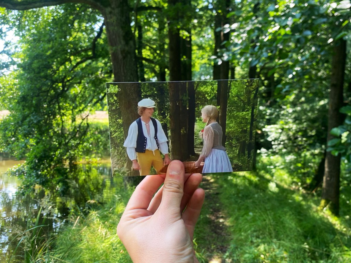 Filmové políčko tweet media