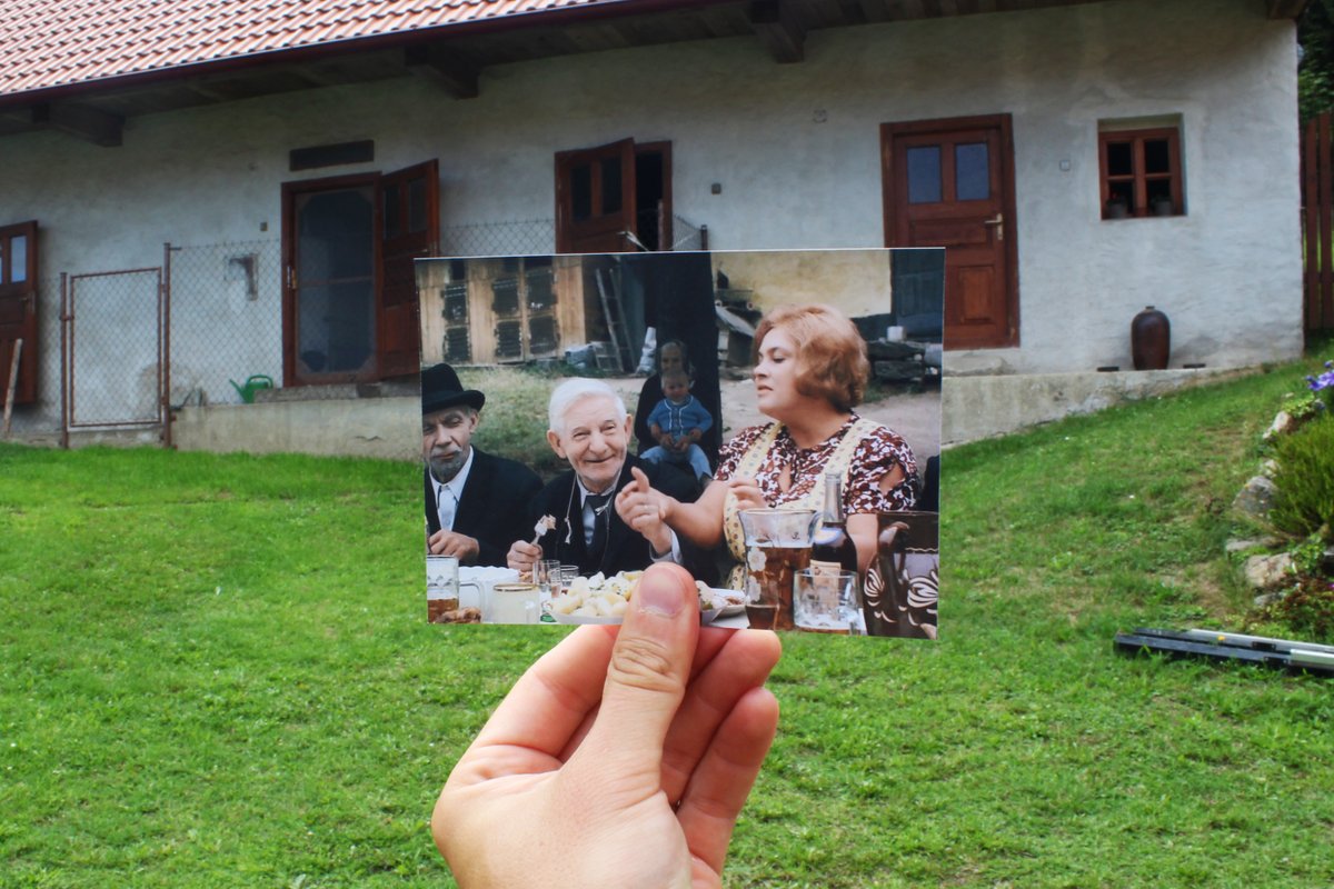 Filmové políčko tweet media