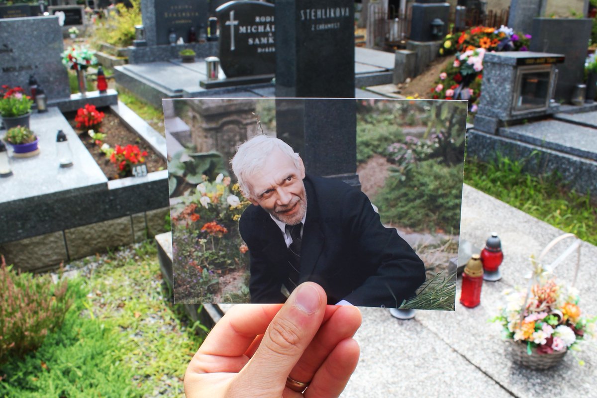 Filmové políčko tweet media