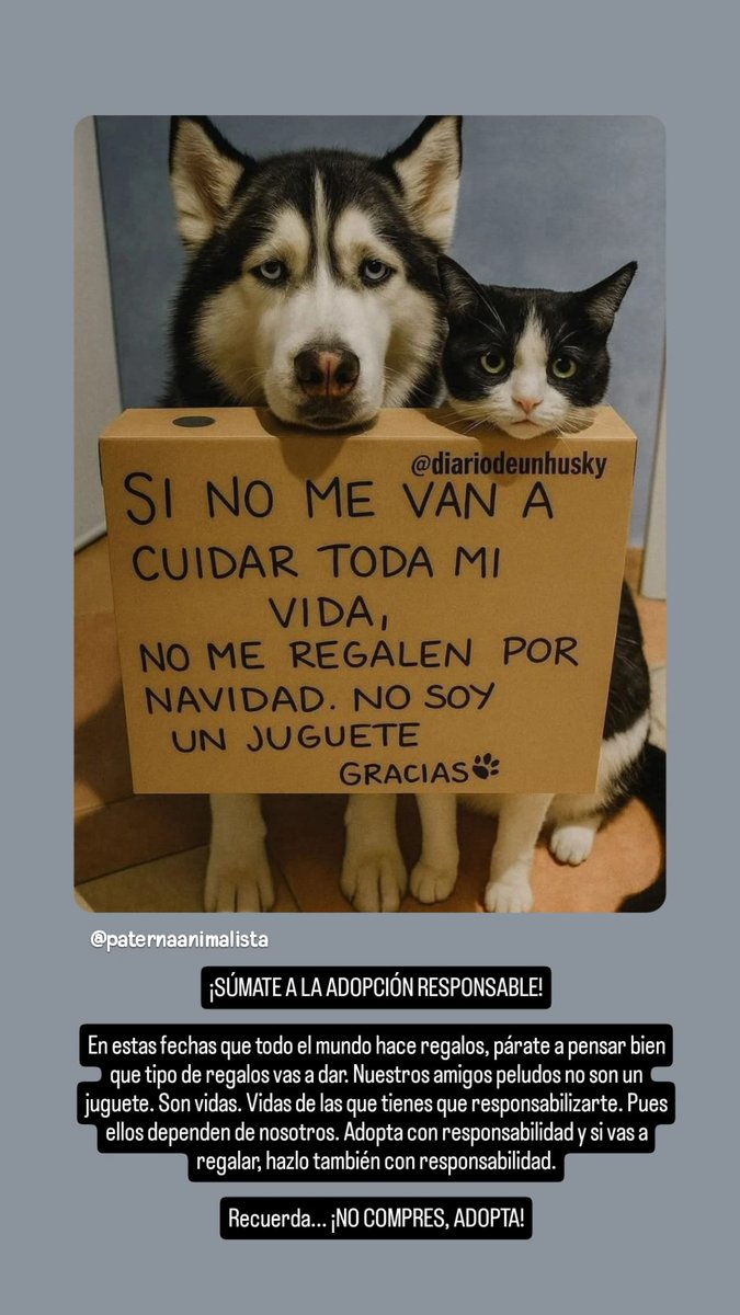 ¡SÚMATE LA #ADOPCIONRESPONSABLE! 

#NoCompresAdopta
