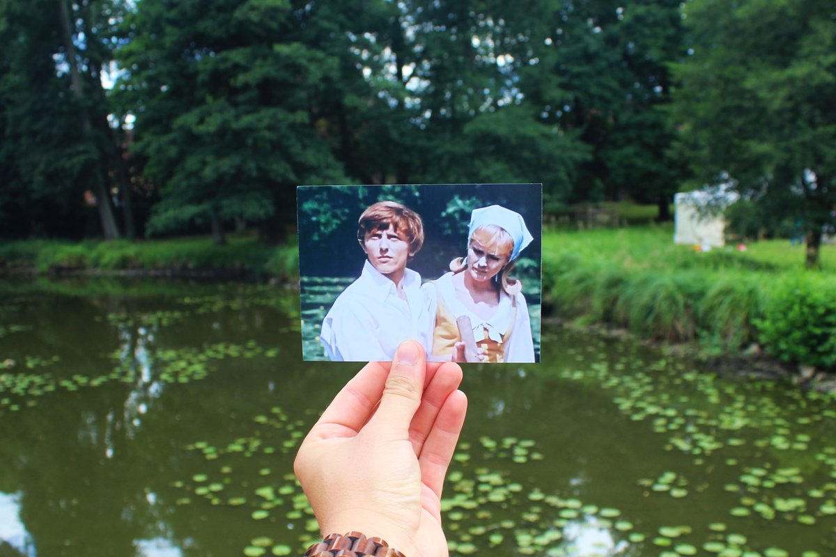 Filmové políčko tweet media