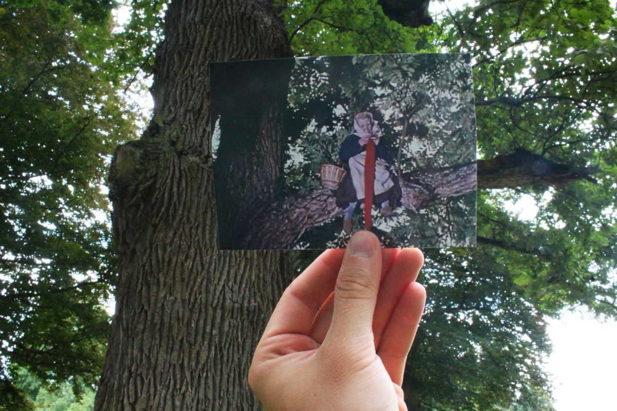 Filmové políčko tweet media