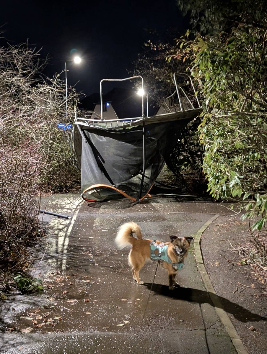 TurnbulDrier's tweet photo. #StormBram and so the bouncing begins https://t.co/1FUlsA3Ayz