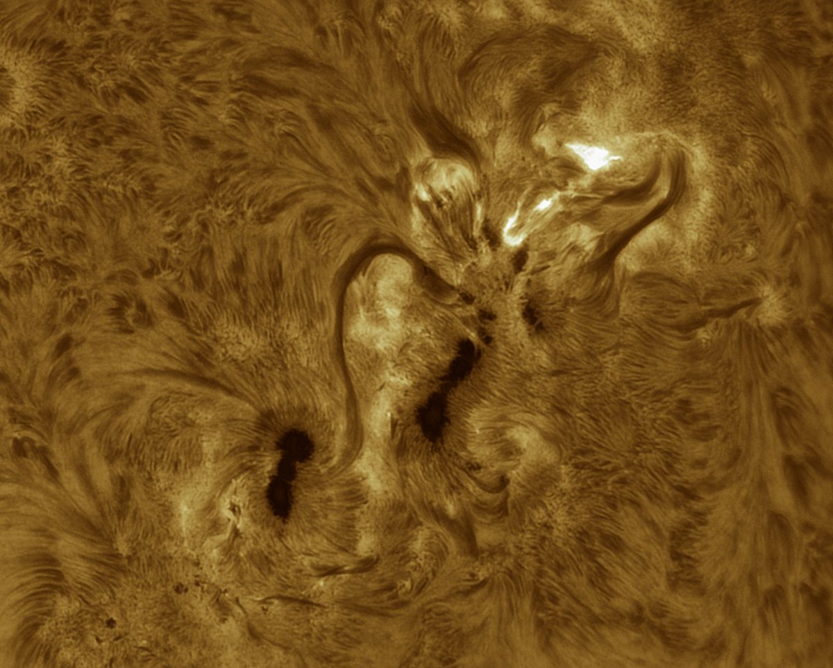 Alberto Castro tweet media