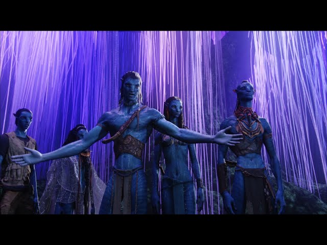 Igres 335 tweet media