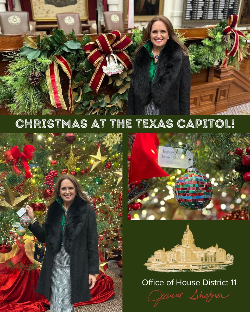 Joanne Shofner for Texans tweet media