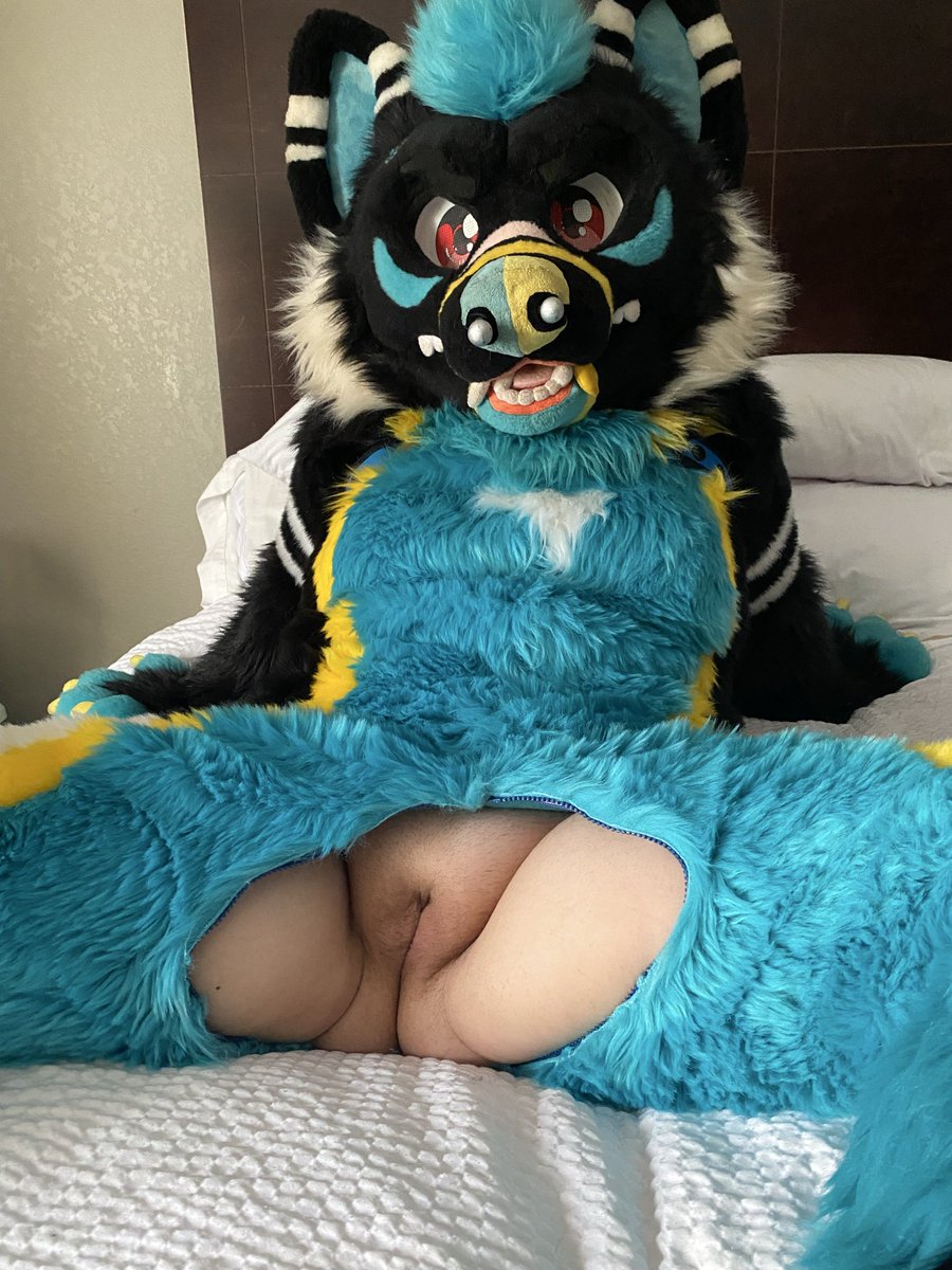 Make sure to check out the new stuff over on my OF! Finally got some murrsuit content done and I do have a collab that will be posted 😘