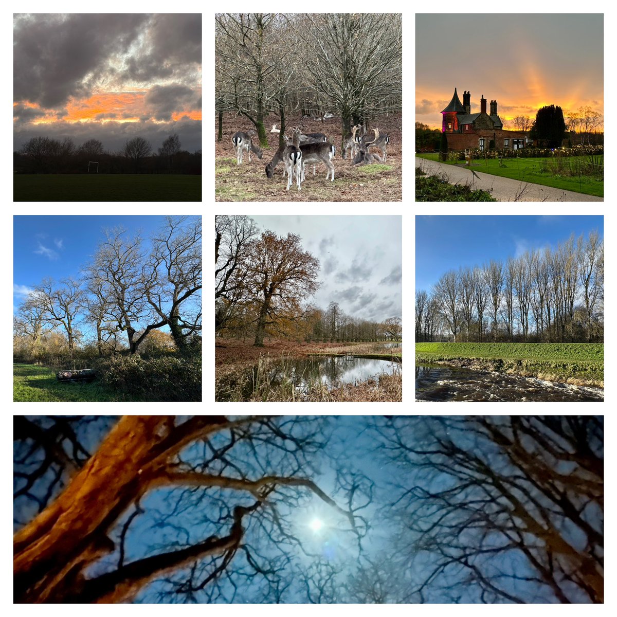 Jay Up North tweet media