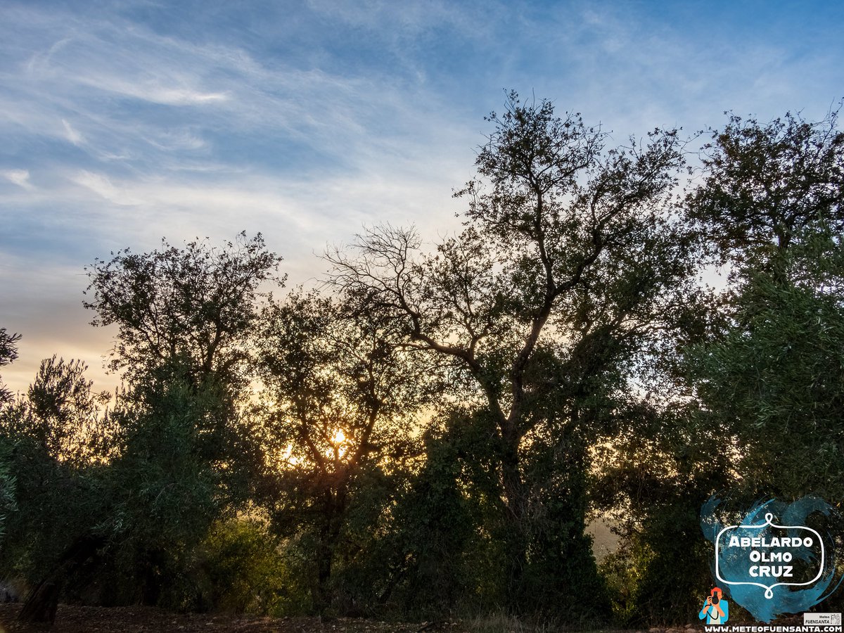 ABELARDO OLMO tweet media