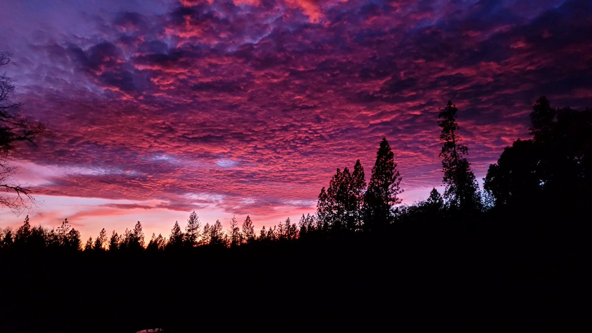 Sun set last night