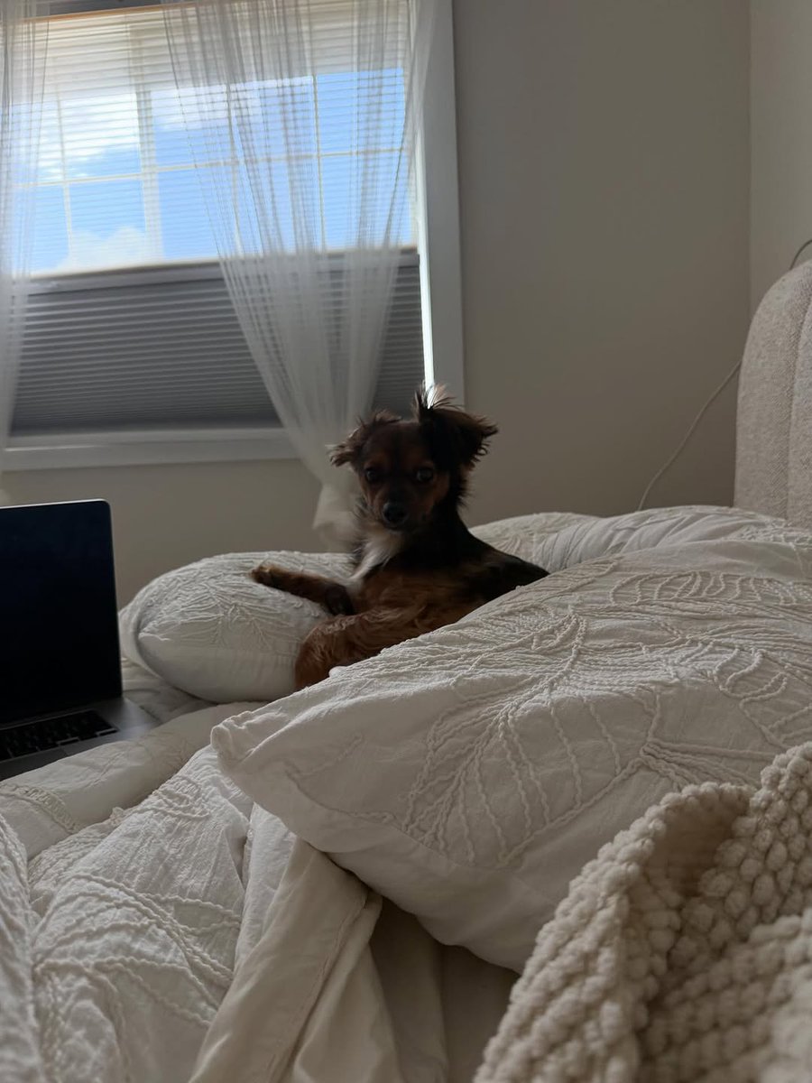 tismpump20's tweet photo. POV waking up from the best nap of your life https://t.co/3aXx1XDWQr