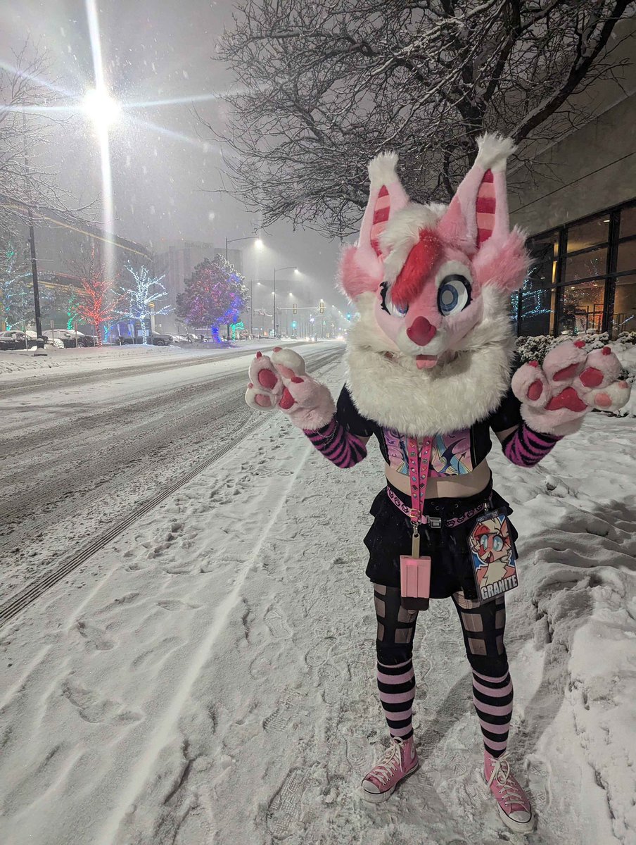 Wowiee disheveled 2am bat in the fresh snow!! I took so many pictures maybe one day I will post them. 
#MFF2025 #furry