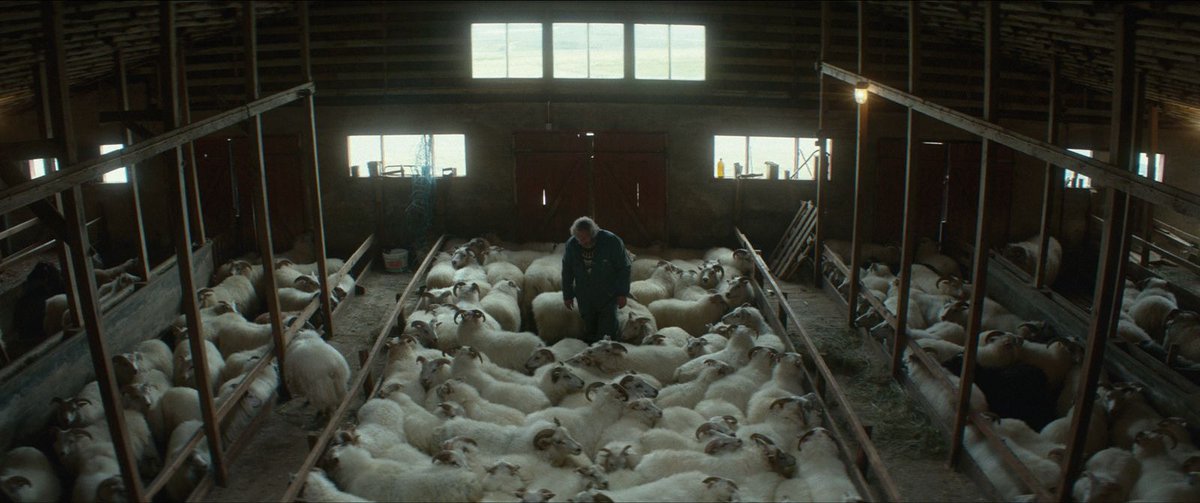 soonerfrance's tweet photo. 🐏 𝐁𝐄𝐋𝐈𝐄𝐑𝐒 de #GrimurHakonarson est sorti au cinéma voilà 10 ans.
🏆 Prix #UnCertainRegard au @Festival_Cannes 2015
Une immersion saisissante dans l’Islande sauvage.
Film à la carte ▶️ https://t.co/45T1pGOTJf
#Cannes2015 #NordicCinema #ArtFilm #VOD #UniversCine #Islande https://t.co/gBaDVa3zw7