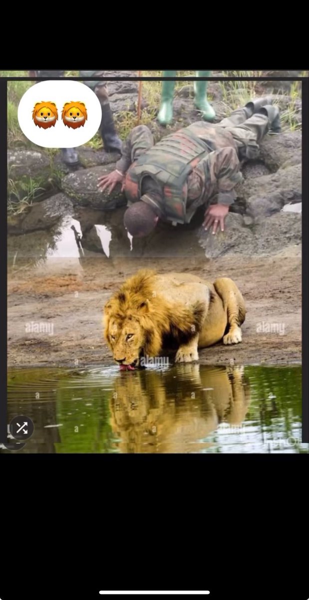 IntareZamweziGi's tweet photo. ‼️‼️‼️ Intare muri #Uvira🇨🇩🔥🔥🦁 https://t.co/X74WZ0cJNf