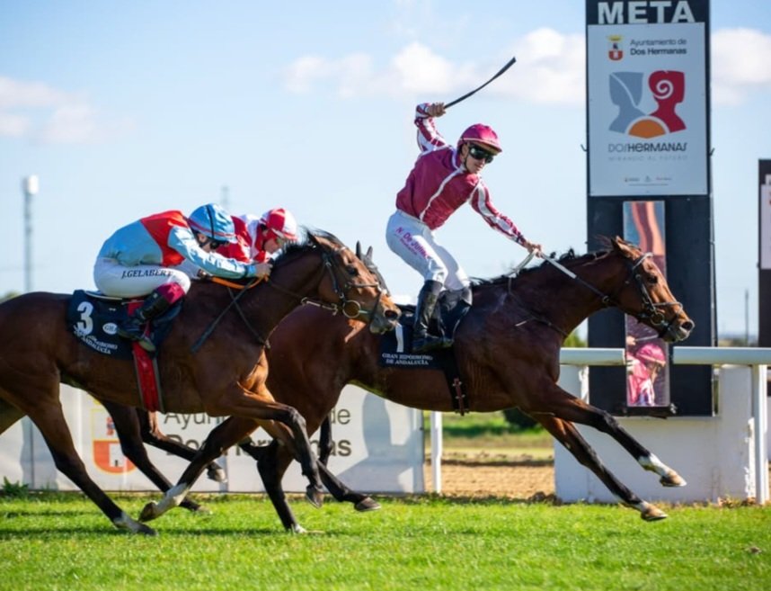 Nicolás de Julián tweet media