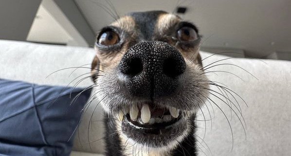 <a href="/Trackmann2/">Kimmie2Times</a> Makosa ya landlord inakutoa kwa mechi😹😹