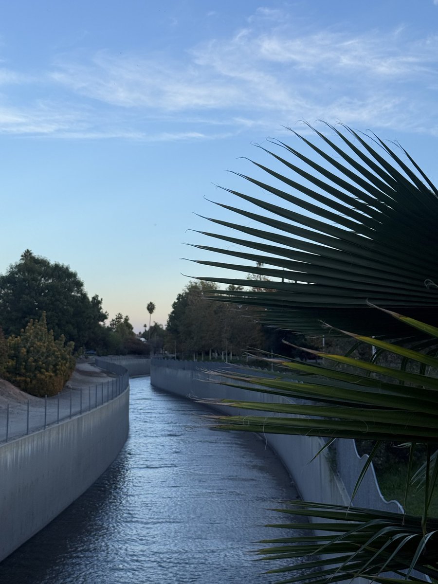 Shannon 🧚🏻💕 tweet media