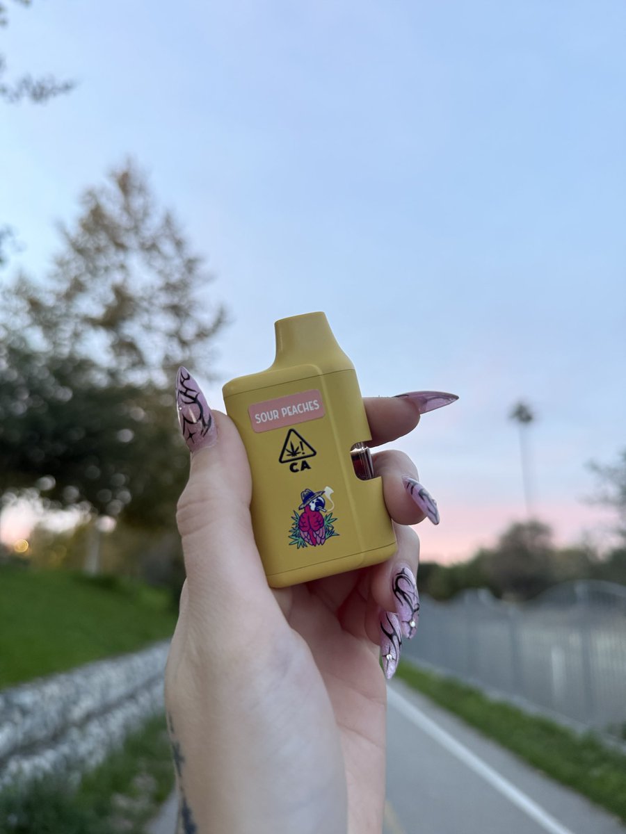 Shannon 🧚🏻💕 tweet media