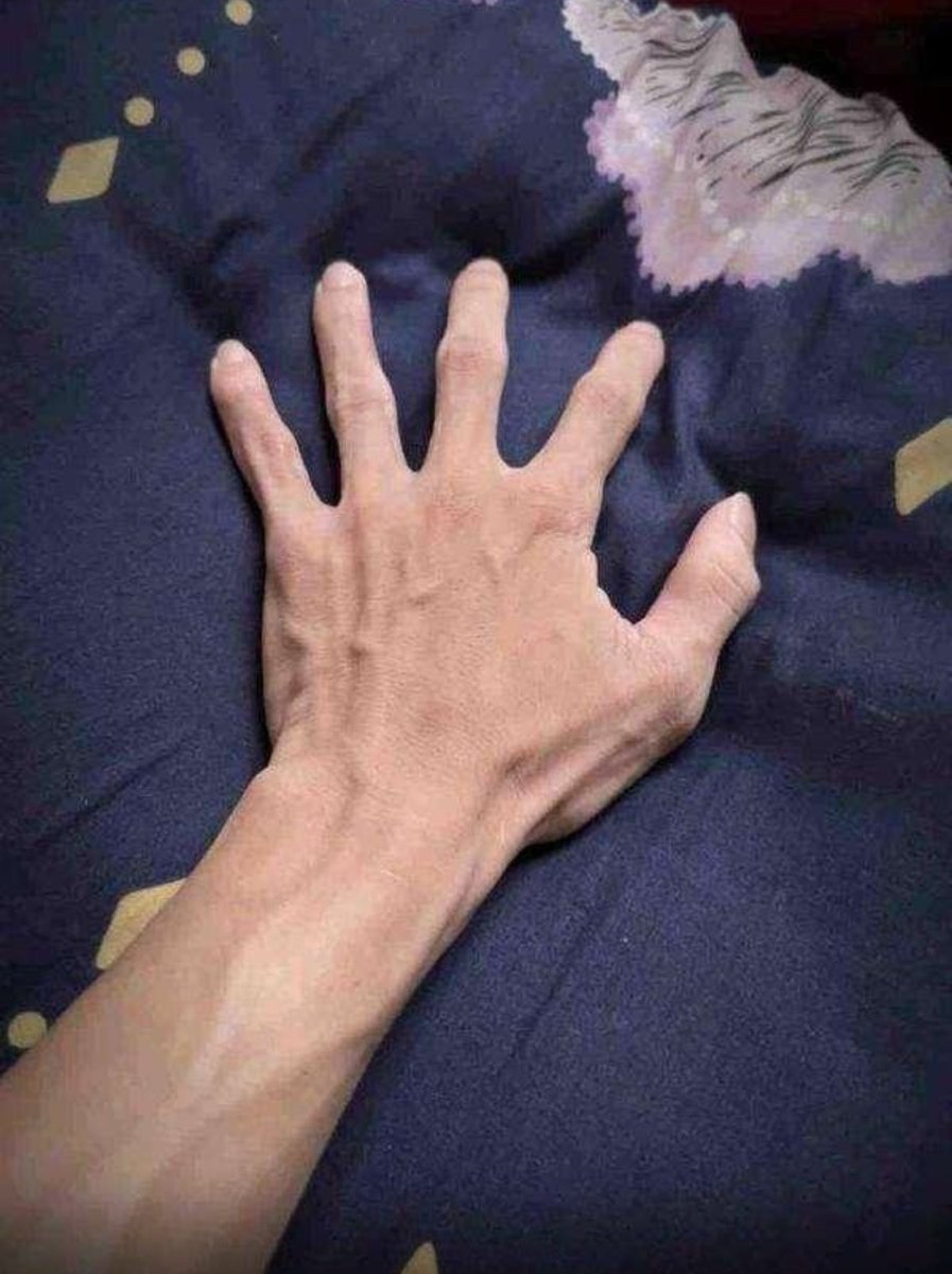 Cat tệ tweet media