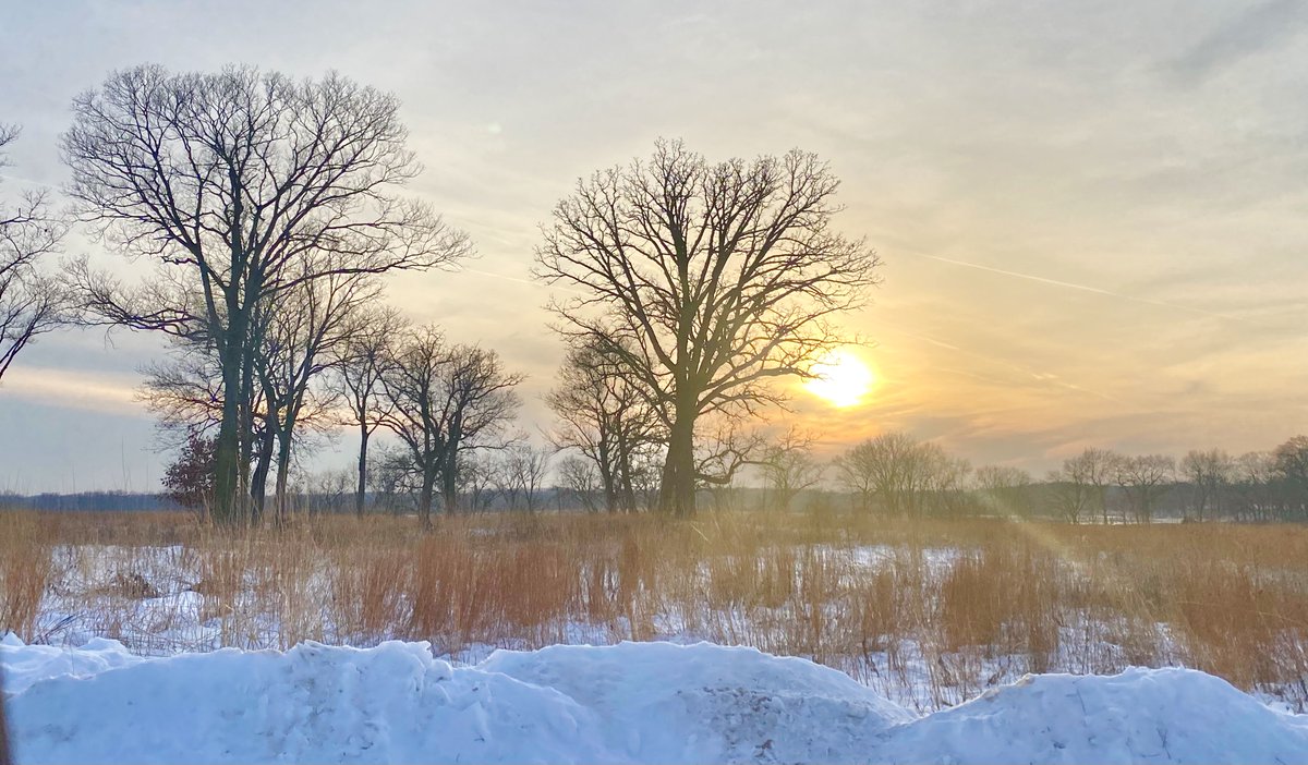 Winter sunset on the prairie #nygrenwetlandpreserve #prairie #sunset #snow Photo: Judy Barnard