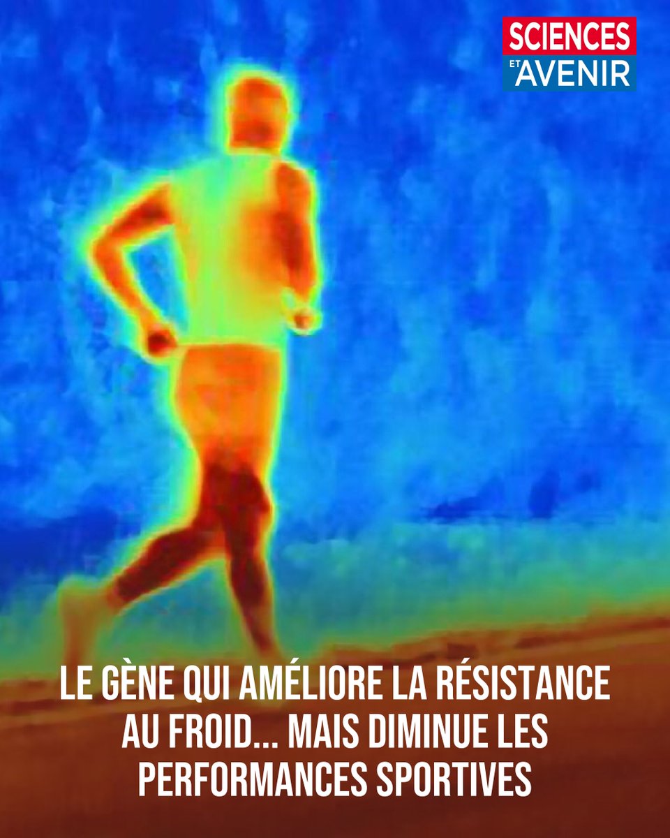 Sciences et Avenir tweet media