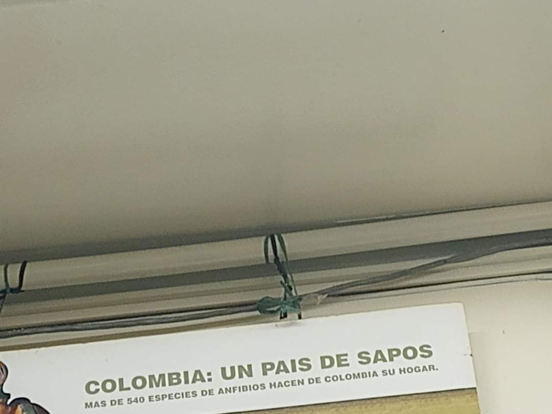 _eritrocito's tweet image. Un día más...